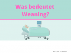 comwas-bedeutet-weaning