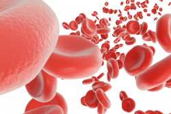 adobestock144347186blutcomcura-intensiv