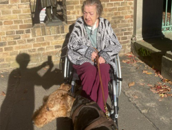 Herbstspaziergang im Park Sanssouci